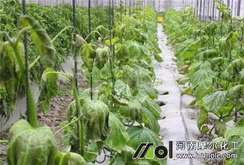 �S�σ������}