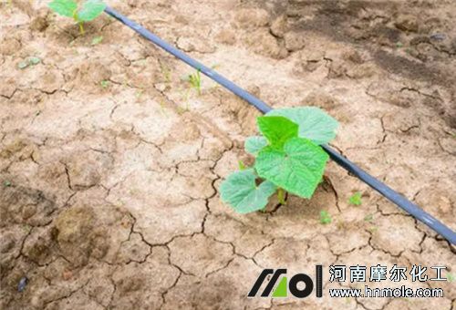 �S��ȱˮ׃��