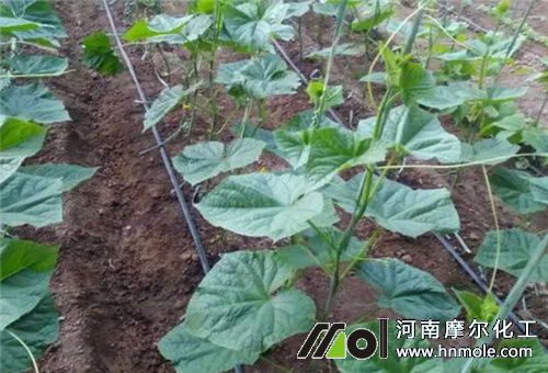 �S������׷��