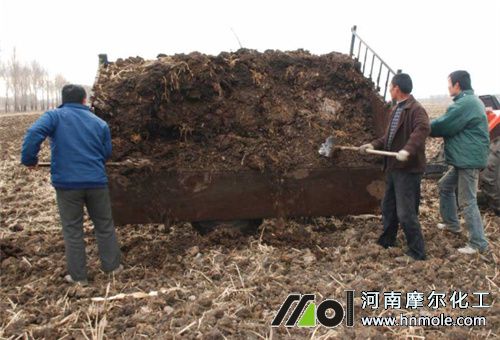 �S������ʩ�׷�