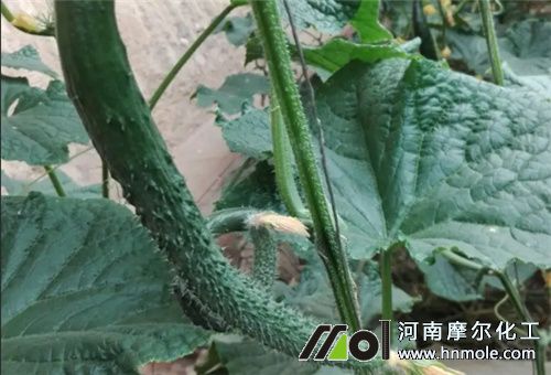 �S��̫��ԭ��