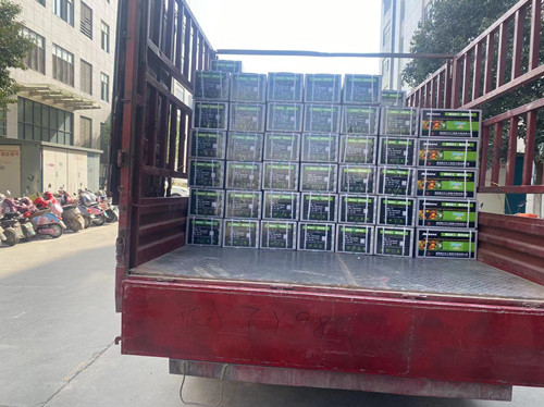 5����Һ�ʰl؛���ɹ�