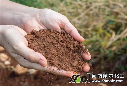 �~���׌�������̎