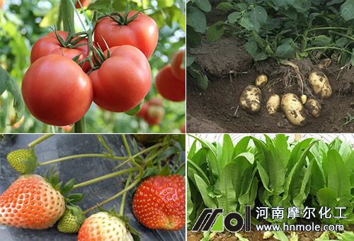 �~�����m������