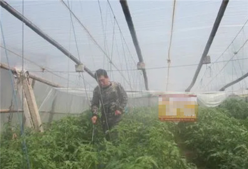 �Ǵ����χ�ʩ