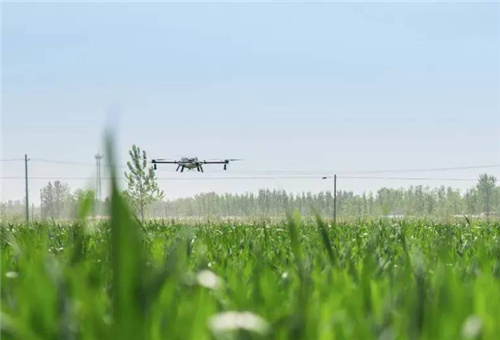 �Ǵ����ϑ���