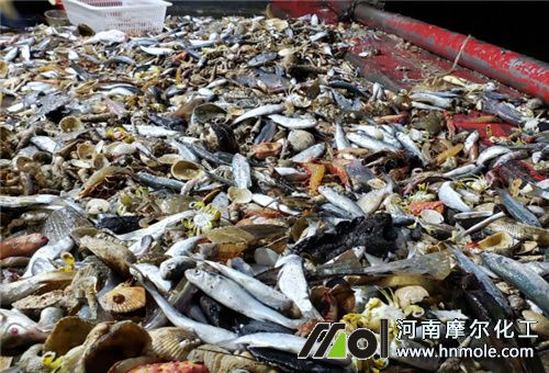 �~�r���ך�ζ