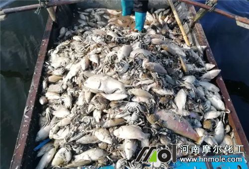 �~�r����ԭ��