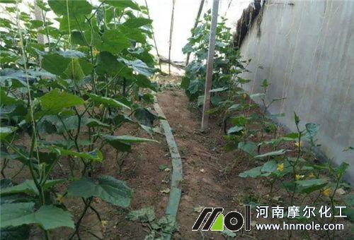 �~���׸�Ч�÷�