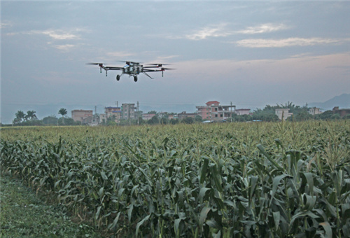 ø���~�����~�懊ʩ