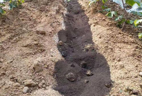 ø���~���׻����a��