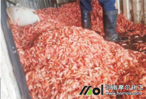 �r��ԭ�{��̎