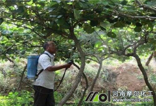 魚肽蛋白肥料效果 魚肽蛋白肥料效果