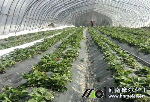 ˮ�ܷ�һ��������