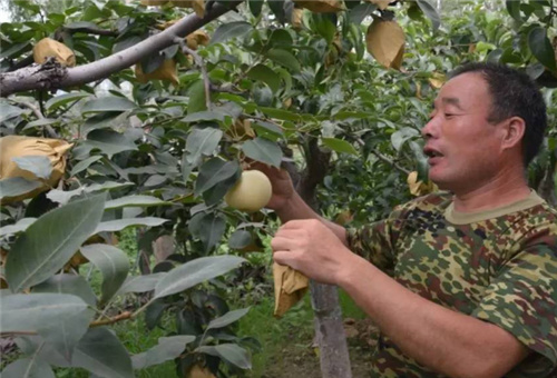 �Ǵ��}����