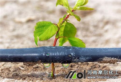 �Ǵ�����Һ�ʵι�