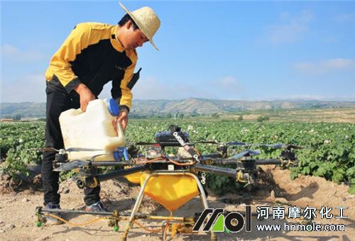 �Ǵ��F�÷�����