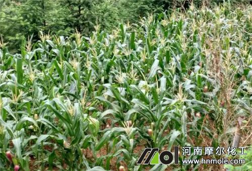 �Ǵ��F�m������