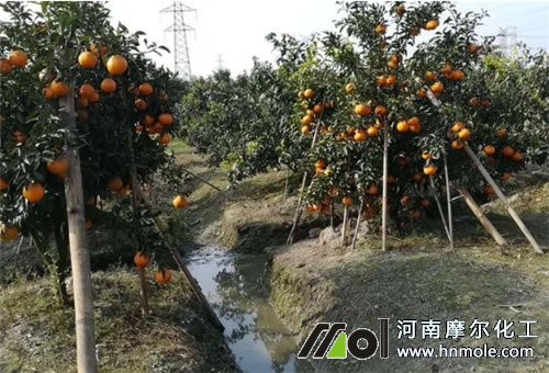 �Ǵ��F��̎