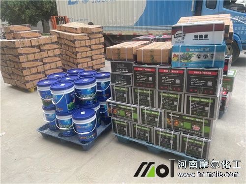 ���Ͽ͑�ӆ؛2