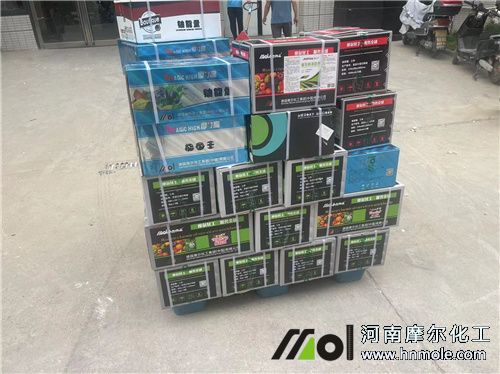 ���Ͽ͑�ӆ؛