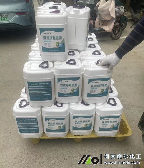 Һ�w��ጵ����b܇��