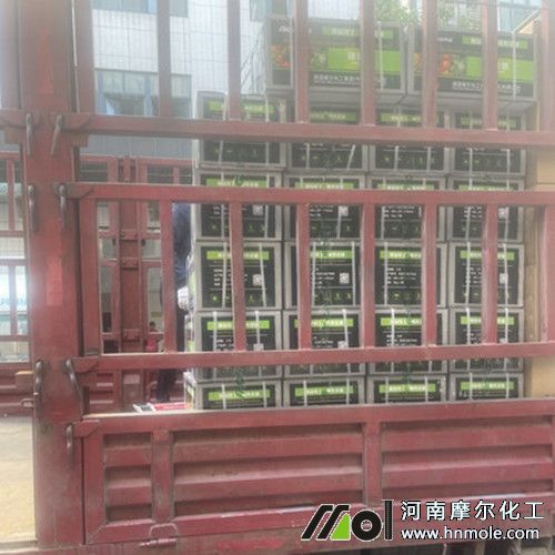 ���۵ذl���ӱ�