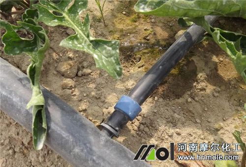 氨基酸肥正確用法 氨基酸肥正確用法