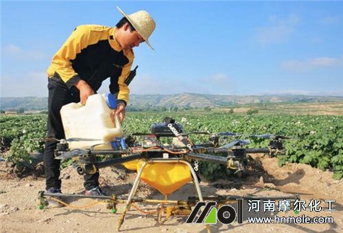 �Ǵ��i������