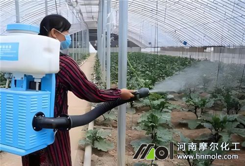 �Ǵ��i�÷�����