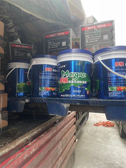 Ħ�������ѩ�l؛3