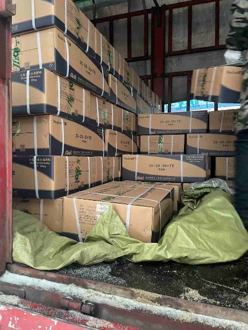 Ħ���ѩ��͑��l(f��)؛��3