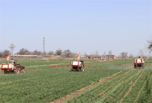 水溶肥類型 水溶肥類型