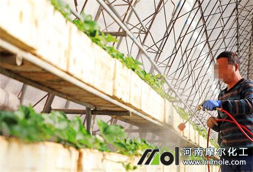 ��ݮ�~��׷��