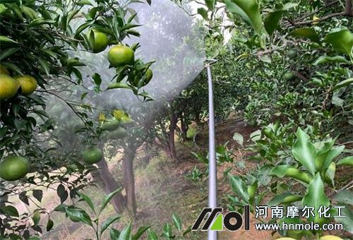 �Ǵ��\���σ���