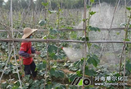 �Ǵ��\���σ���