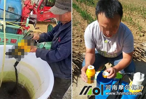 中微量水溶肥稀釋 中微量水溶肥稀釋